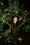 Isabel_de_pedro_Laia_Benavides_Thisissample.jpg_001