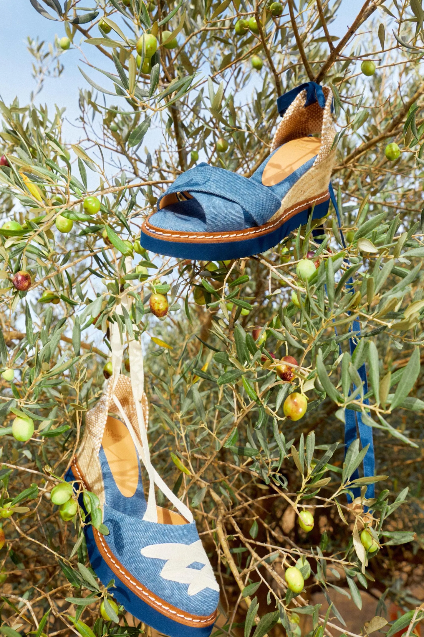 CastanerSS22_18_Laia_Benavides_Thisissample-scaled