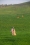 Schon_Laia_Benavides_Thisissample.jpg_011