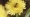 file.mp4-1080p