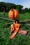 Zalando_Colors-of-Summer_2023_03_0521