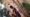 thumb (13)