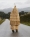 SaloneDiMobile_Loewe_11_Yago_Castromil_thisissample