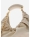ISIMG-889501-scaled