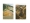 Iceland_Amuse_Laia_Benavides_Thisissample.jpg_008