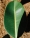 000016-4-R1-scaled