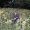 Traveller_Zachary_Quinto_14_Pablo_Zamora_Sample-2