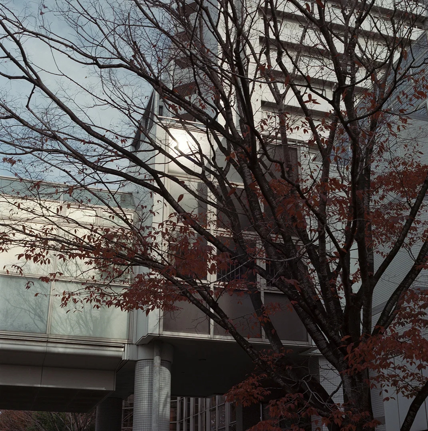 Icon_Nozomu_in_Japan_12_Pablo_Zamora_Thisissample
