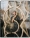 Leonor_Vogue_10_PabloZamora_Thisisample