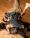 ICON-BALLET-DE-MARSELLA-ALTAS-10