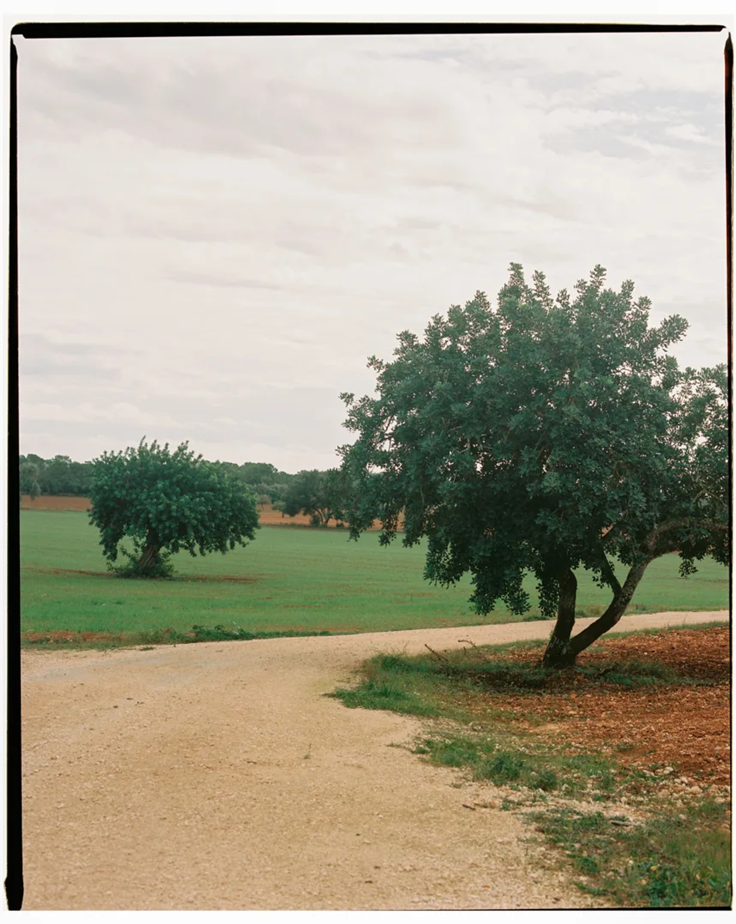 FundacionAlttra_AD_08_PabloZamora_Thisissample