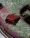 Metal_Magazine_Scrapping_9_Yago_Castromil-2