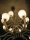 SomeNotesOn_VillaSinger_08_Yago_Castromil_thisissample-scaled
