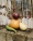 The-Botanical-RainBow-BTS-for-Loewe_03_YagoCastromil_Thisissample