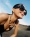 Carolina_Herrera_SS22_Dan_BeleiuAlba_Melendo_05_Thisissample