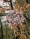 2020_CNTRAVELER_GUCCI-NORTHFACE_002