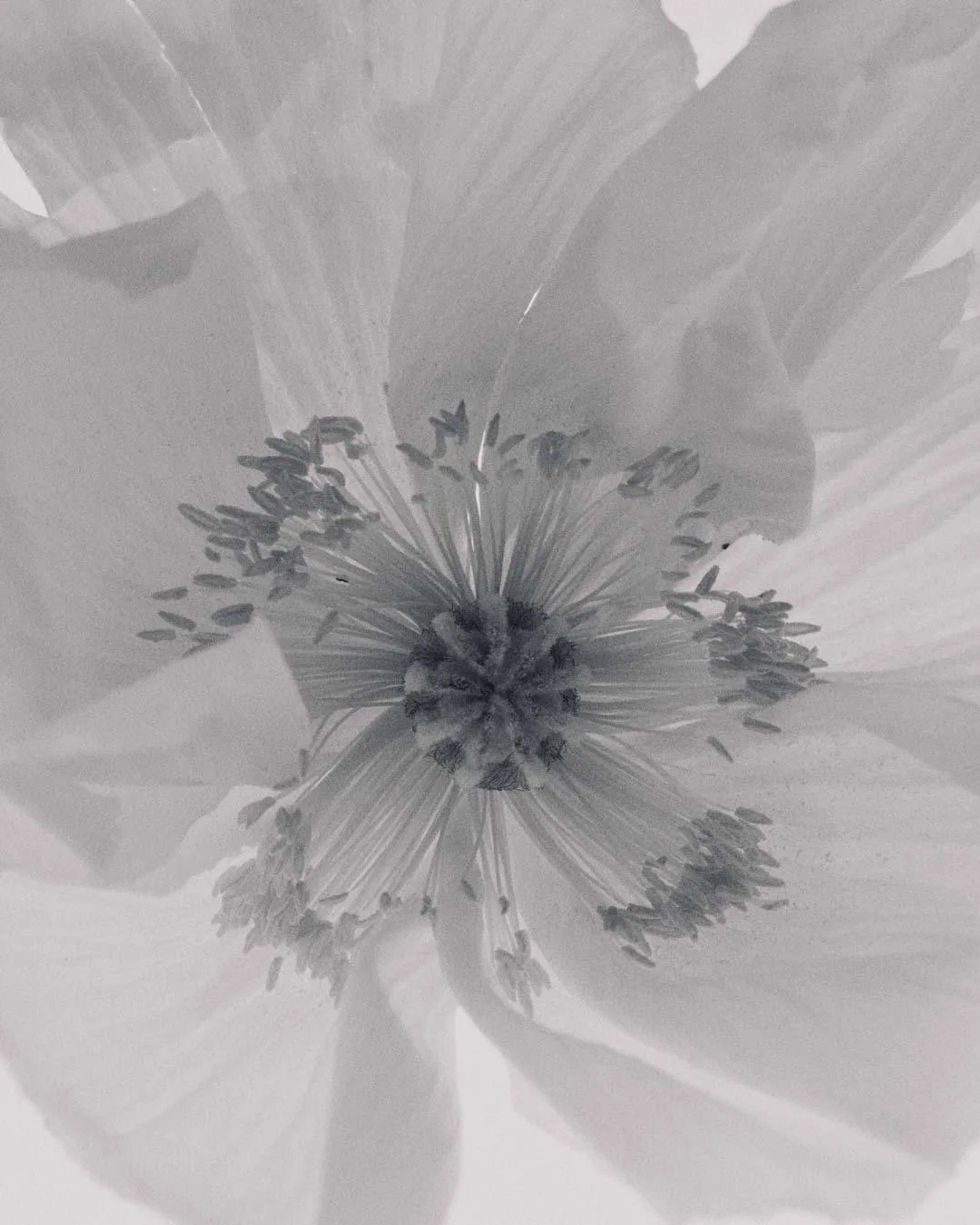 2025.01.15_ZARA-JOIN-LIFE-SS25_NATURE_0192