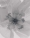 2025.01.15_ZARA-JOIN-LIFE-SS25_NATURE_0192