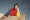 El_Pais_Semanla_Kim_Peers_2_Pablo_Zamora_Thisissample