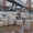 Icon_Nozomu_in_Japan_6_Pablo_Zamora_Thisissample