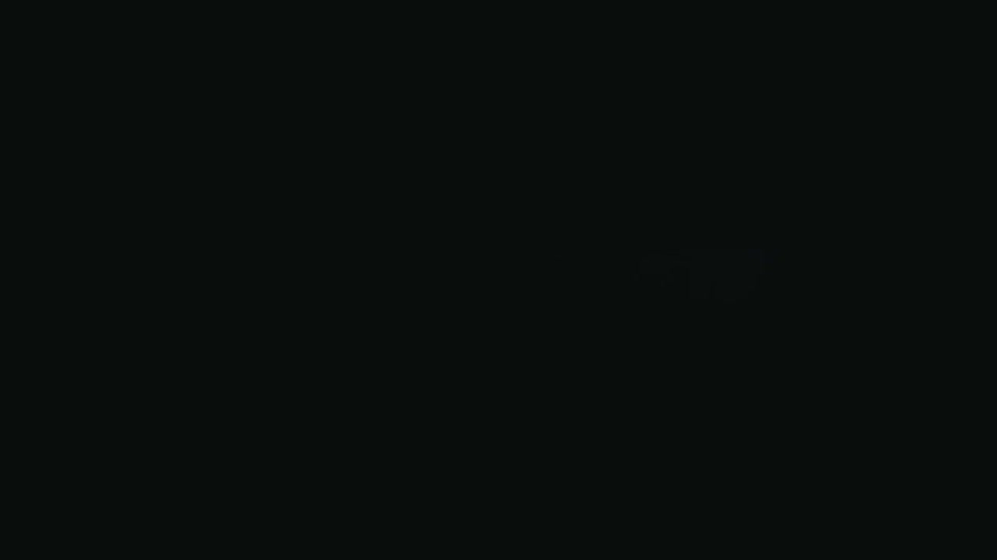 file.mp4-1080p