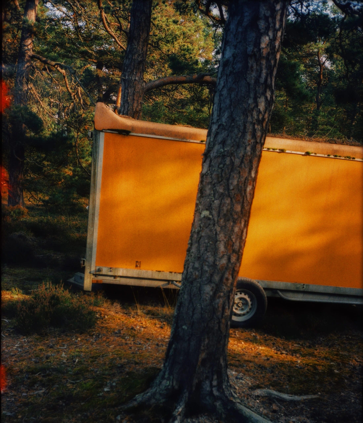 2021_CNTRAVELER_SANDHAMN_014-scaled