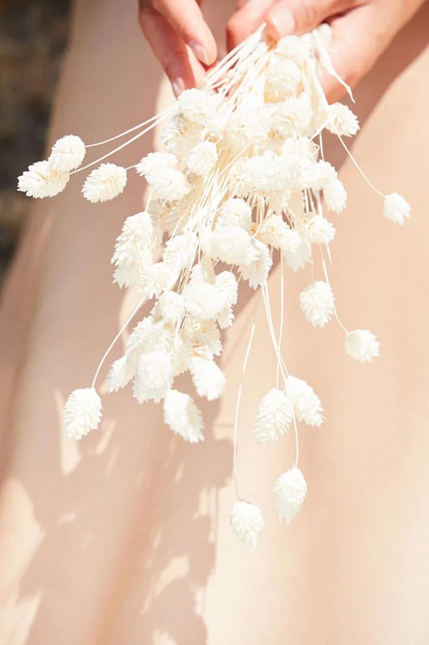 wella_Laia_Benavides_Thisissample.jpg_008