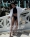 Vogue_Mexico_1_Thisissample