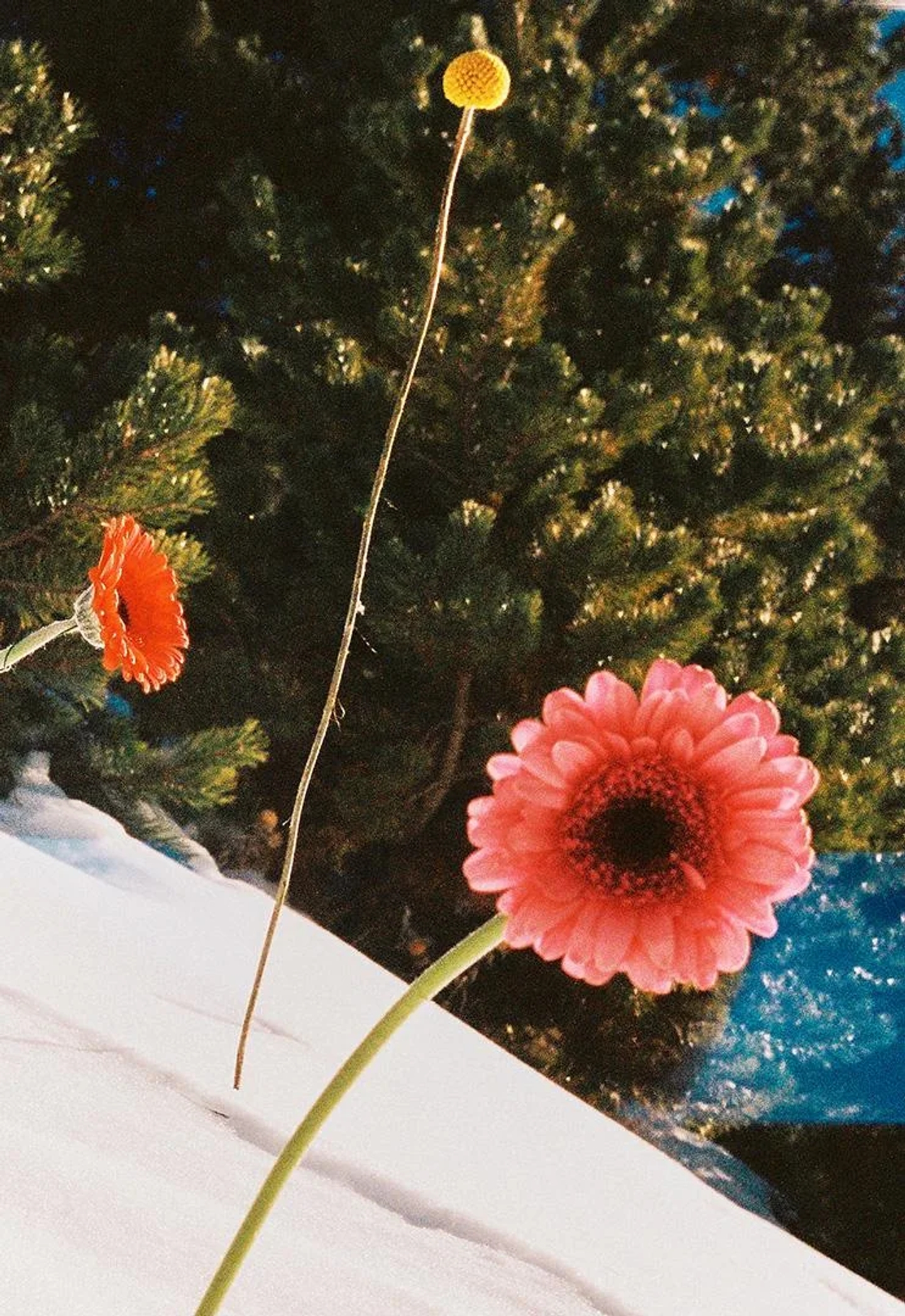 Winter_07_LaiaBenavides_Thisissample