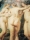 Madrid_Traveller_15_Yago_Castromil_thisissample
