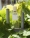 The-Botanical-RainBow-BTS-for-Loewe_06_YagoCastromil_Thisissample