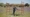 file.mp4-1080p