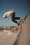 Vans_TMagazine_1_Yago_Castromil-2