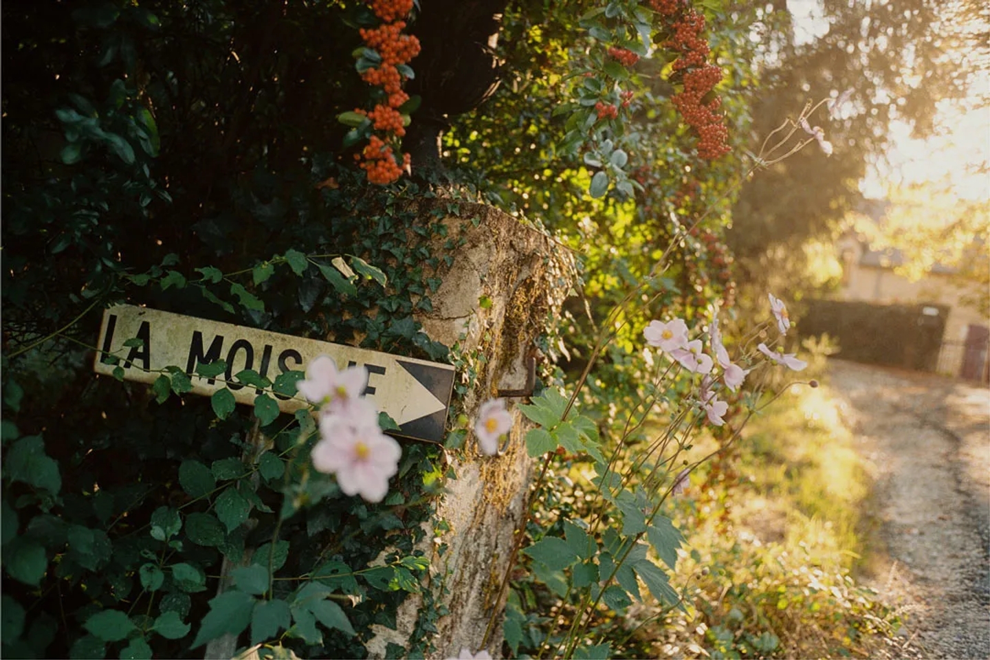 CNTraveler_Belves_15_PabloCurto_ThisIsSample
