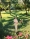 2018_EPS_ROBERTO-SIPOS_011