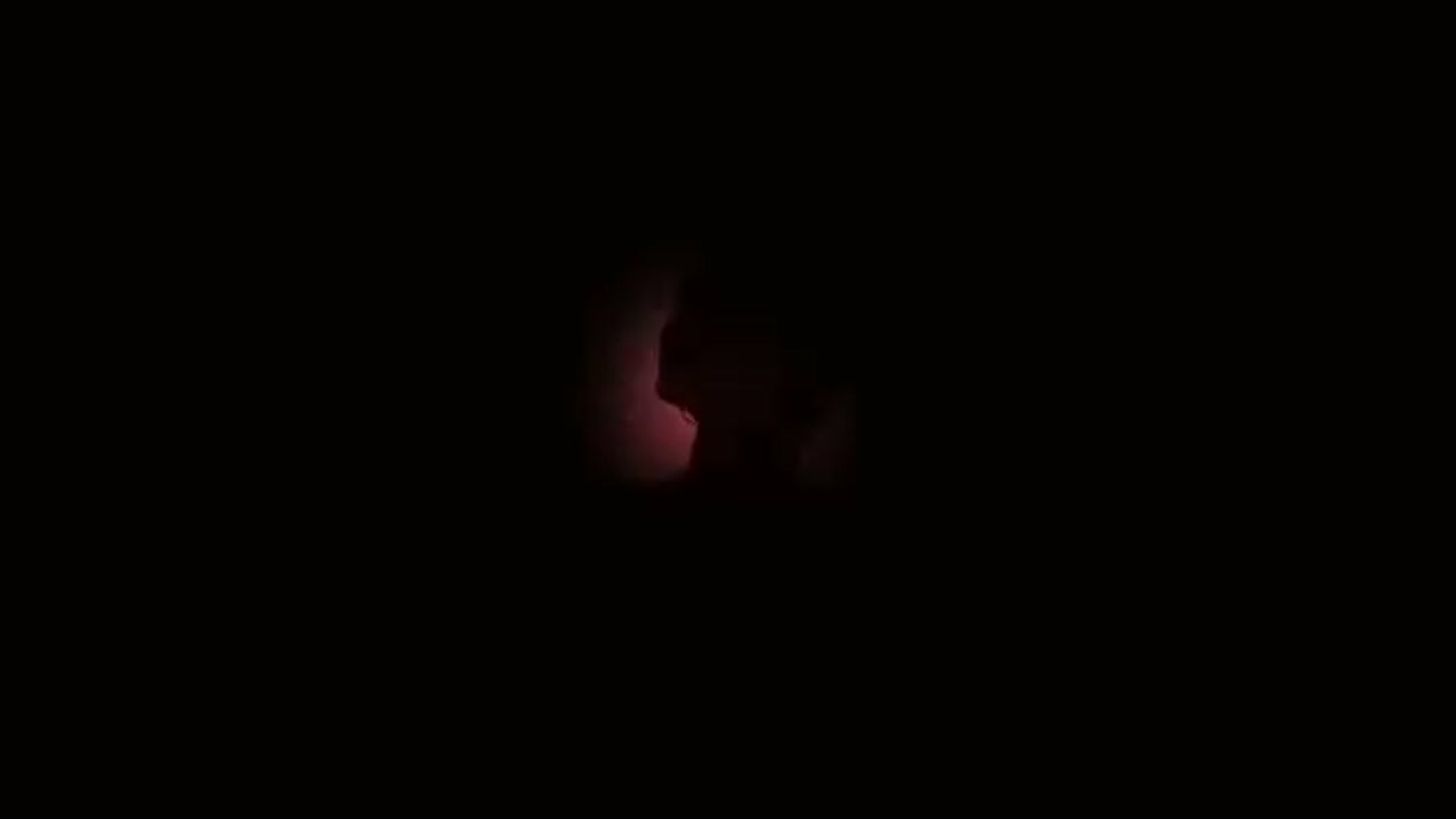ezgif.com-video-to-gif-2_2022-04