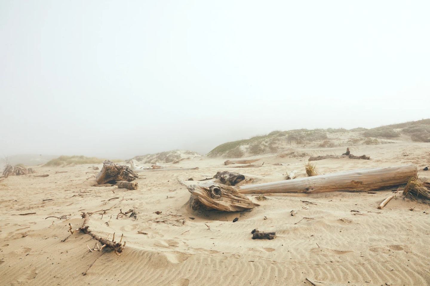 Big_Sur__Join_Life_Zara_4_Yago_Castromil-2