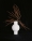 Cordero_Aterlier_01_Yago_Castromil_Thisissample