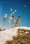Winter_06_LaiaBenavides_Thisissample