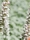 Cartier_TravellerUK_04_YagoCastromil_Thisissample