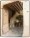 AD-Pedraza-77