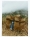 Zara_Home_x_Adventure_Gear_11