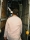 Milano_Diaries_03_Yago_Castromil_thisissample