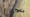 file.mp4-1080p