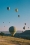 CAP74024_Inshallah_00_LaiaBenavides_Thisisample
