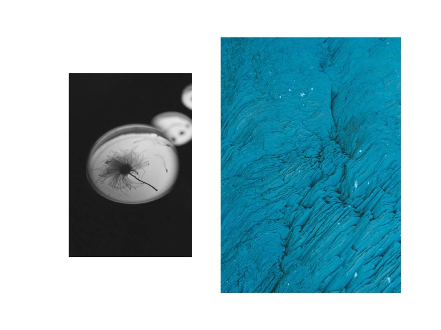 Iceland_Amuse_Laia_Benavides_Thisissample.jpg_012