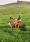 Schon_Laia_Benavides_Thisissample.jpg_001