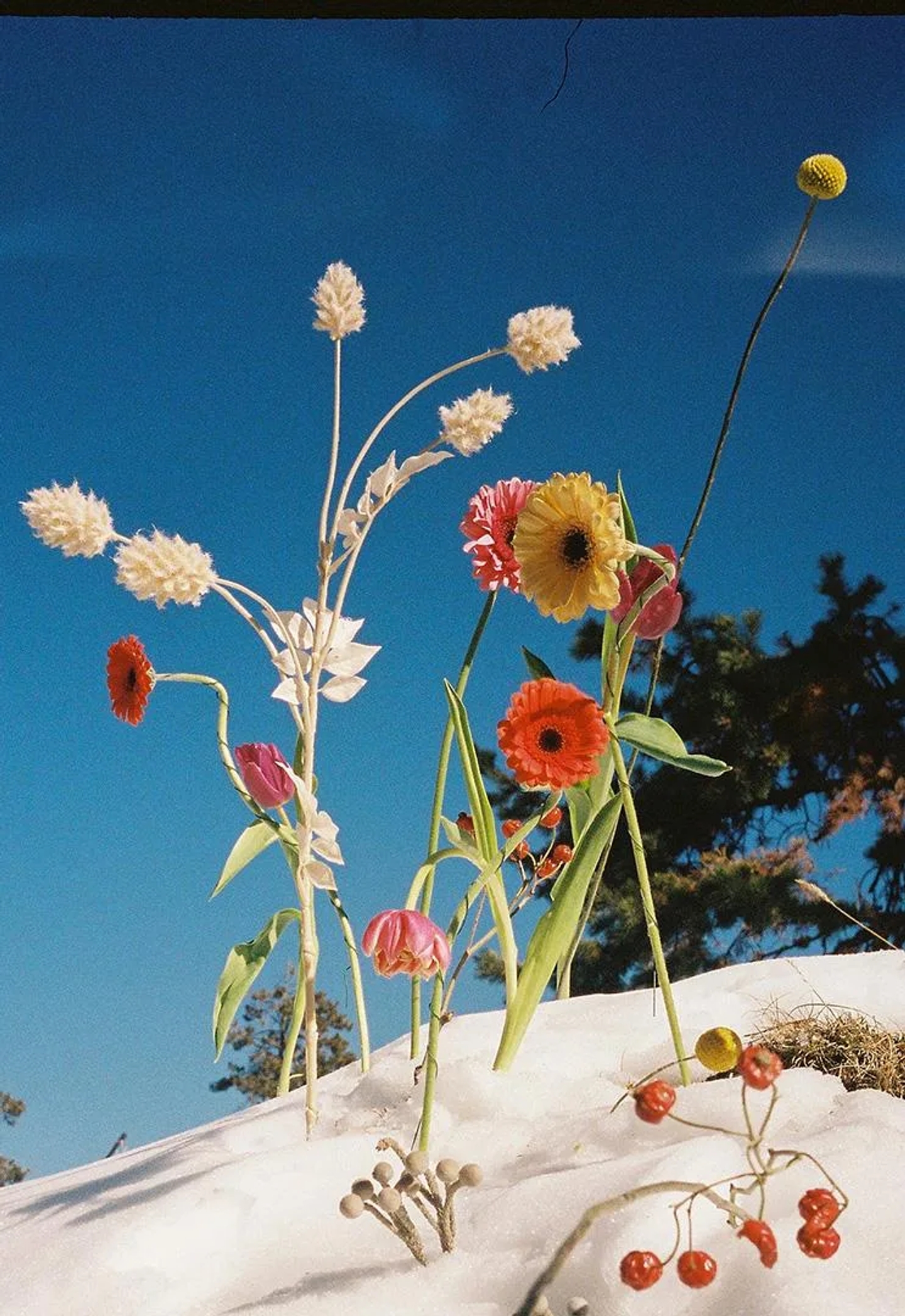 Winter_02_LaiaBenavides_Thisissample