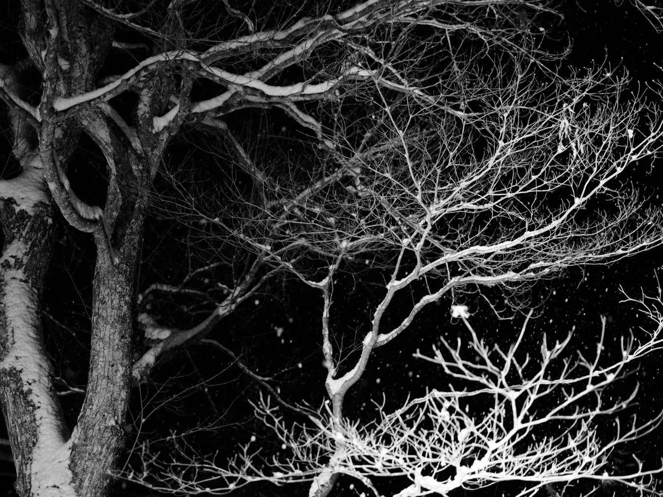 0002_Pablo-Curto_LEICA_01