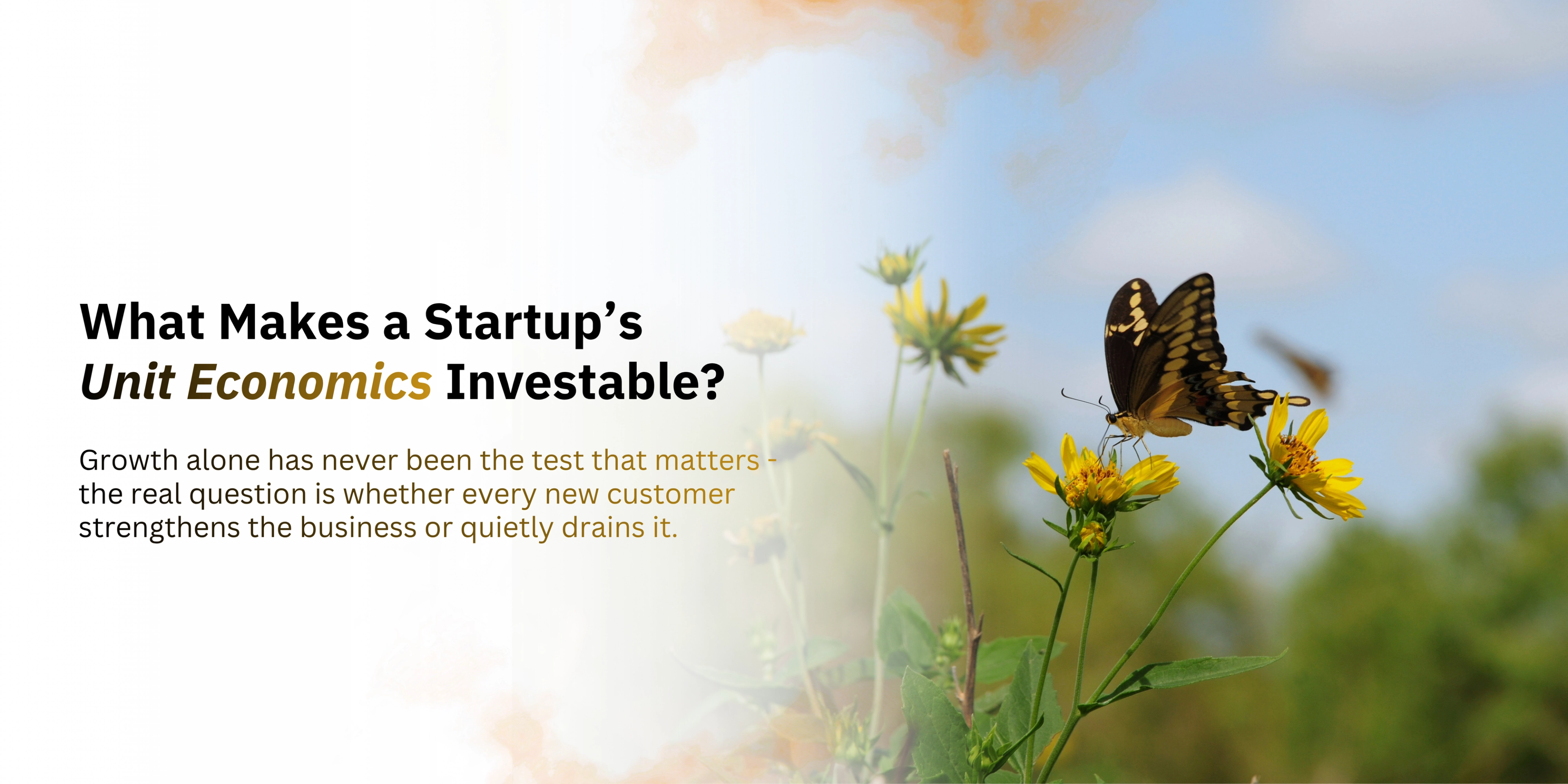 What Makes a Startup’s Unit Economics Investable?-banner